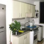Departamento Amoblado Por Dias Concepción