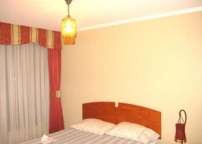 Departamento Amoblado Por Dias Concepción